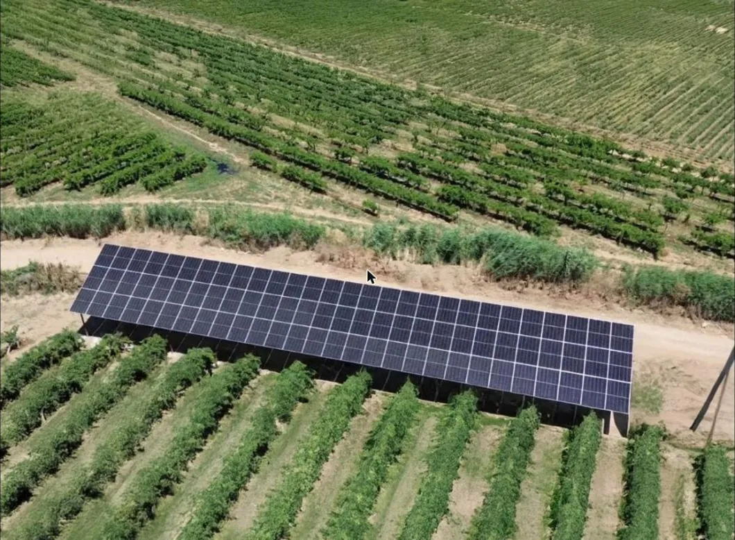 Leo Solar 35 Hp güneş enerjili sulama · bağ